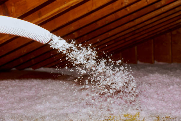 Best Insulation Materials and Products in Ahuimanu, HI