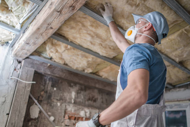 Best Types of Insulation in Ahuimanu, HI