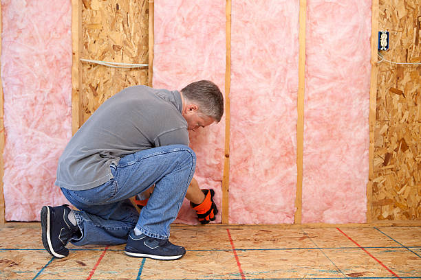 Best Types of Insulation in Ahuimanu, HI